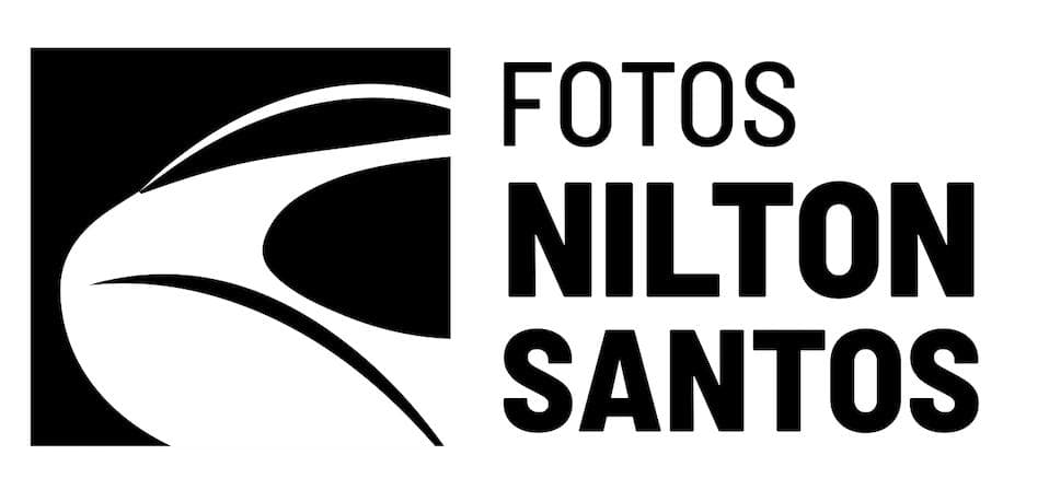 Logo Estádio Nilton Santos